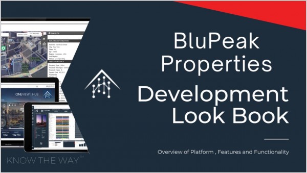 Blue Peak Properties :         ,     .