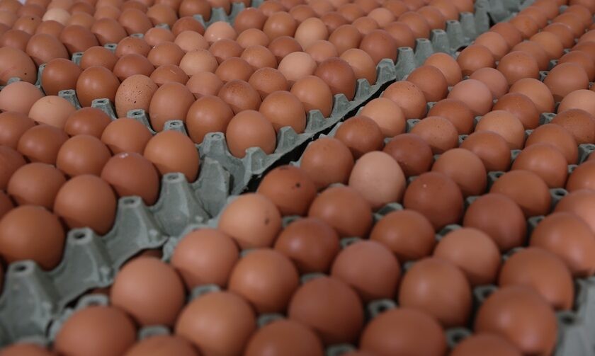 Ακρίβεια: «Χρυσά» τα αυγά ίδιας εταιρείας στο ίδιο σούπερ μάρκετ όταν βγαίνουν από το «καλάθι του νοικοκυριού»