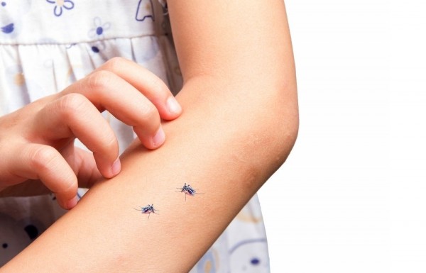 7 φυσικοί τρόποι για να απωθήσετε τα κουνούπια
